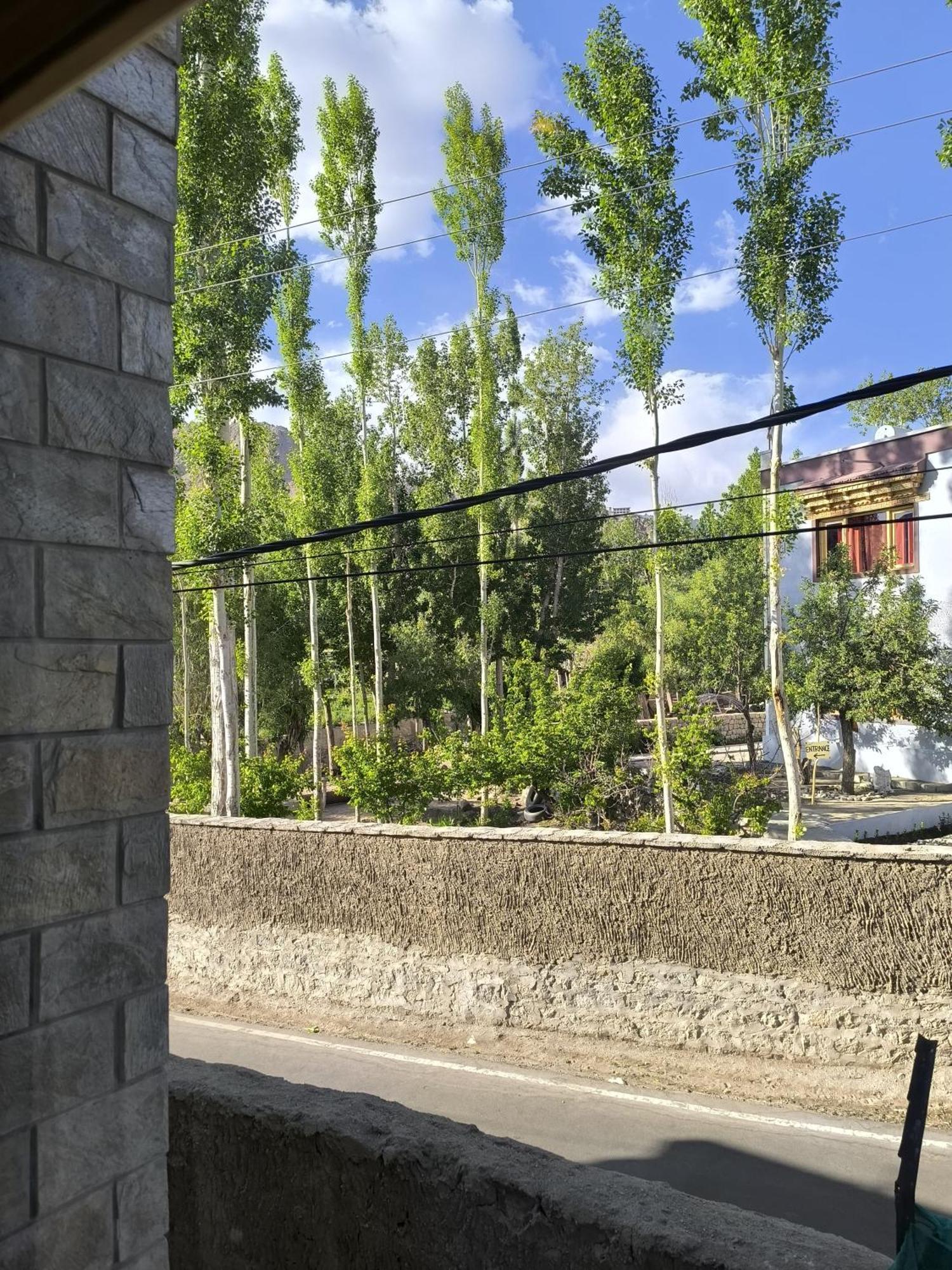 Hidden Leaf Homestay Лех Номер фото