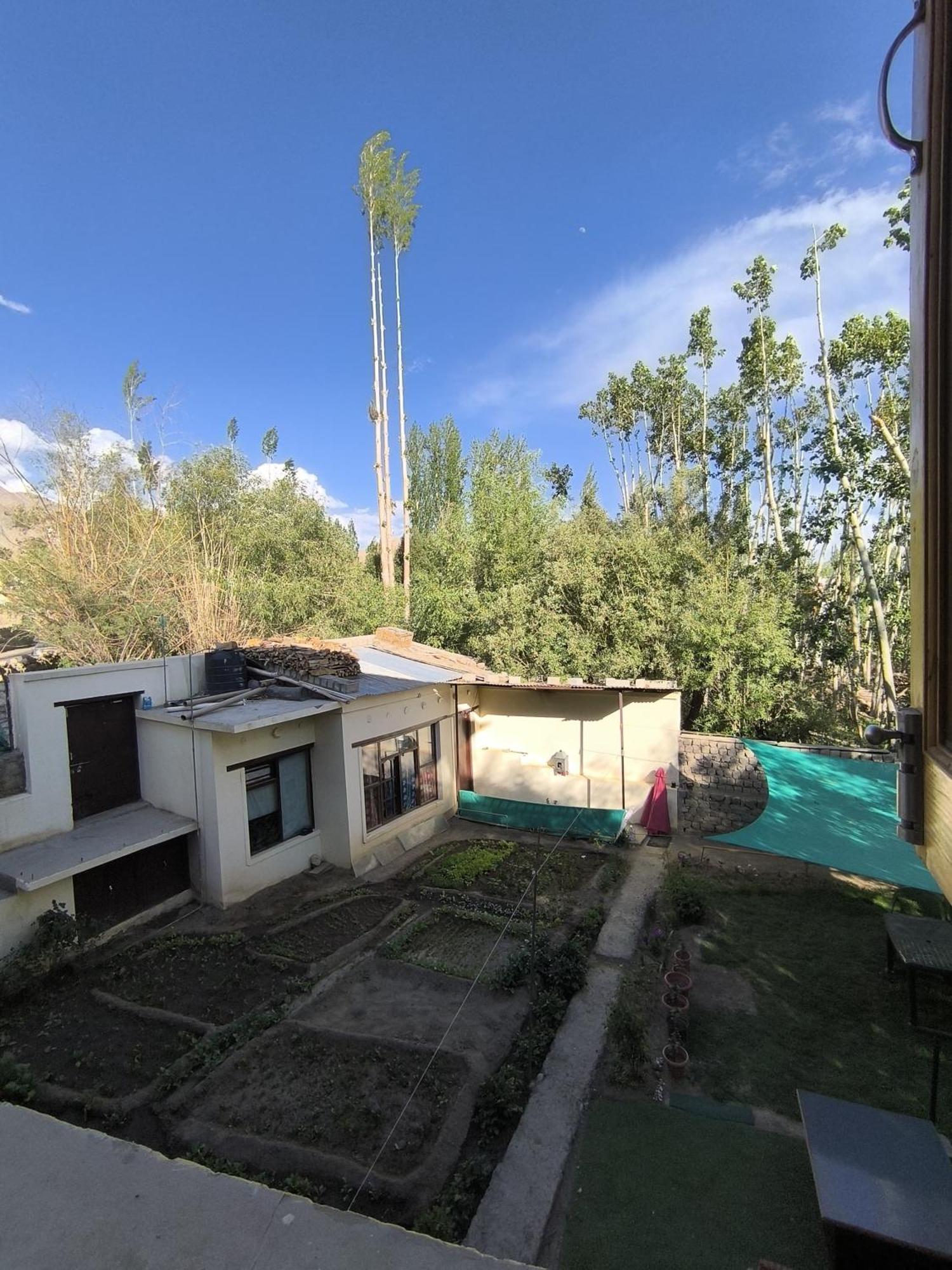 Hidden Leaf Homestay Лех Номер фото